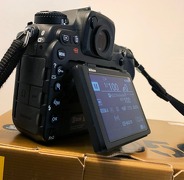 Nikon D500 - 2