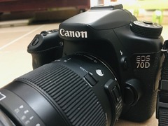 Canon 70d with Sigma 18-200, F3.5-6.3D