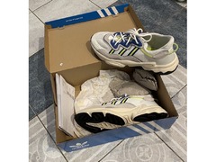 For Sale New Adidas Ozweego white