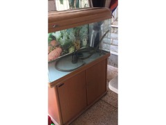 Aquarium - 1