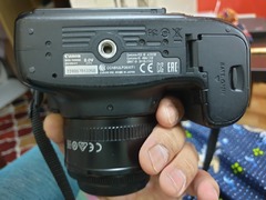 Canon 70d + 50mm lens - 1