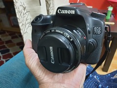 Canon 70d + 50mm lens - 4