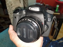 Canon 70d + 50mm lens - 5