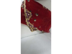 Indian saree - 5