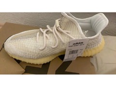 Adidas Yeezy Boost 350 V2 Natural 100% Authentic - 1
