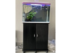 Fish Tank + wooden cabinet storage 60x30