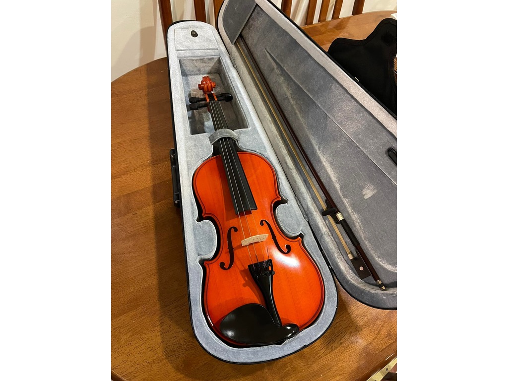 Violin For Sale - 1