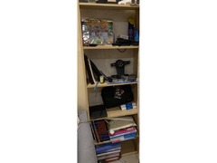 Book Shelf (2 nos)