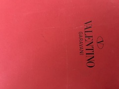 Limited Edition Valentino Heels - 6