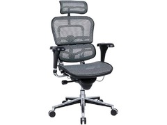Executive Home/Office Chair by Ergohuman