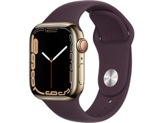 Stainless Steel  Series 7  Cellular  Apple Watch 45 - 1