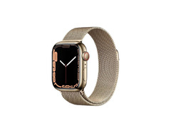 Stainless Steel  Series 7  Cellular  Apple Watch 45 - 2