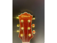 D’Accordio Acoustic Guitar - 3