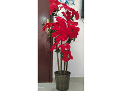 Red Flower Vase - 1