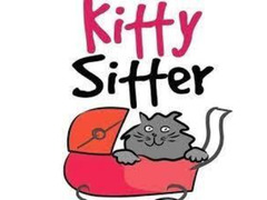 Cat Sitter - 1