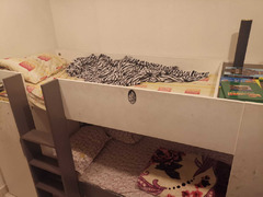 Bunk bed frm homecenter - 1