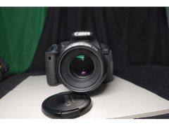 Canon Nikon Camera Lens Urgent Sale - 1