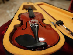 Beautiful Violin For Sale - 1