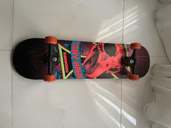 Birdhouse (Tony Hawk) Skateboard - 2