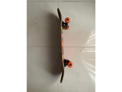 Birdhouse (Tony Hawk) Skateboard