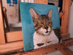 Make your pet paintings - 1