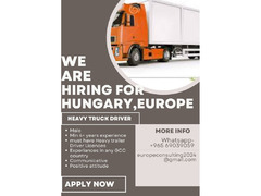 Heavy Truck Driver for EUROPE