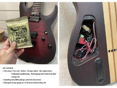 Professional Guitars Maintenance & Service