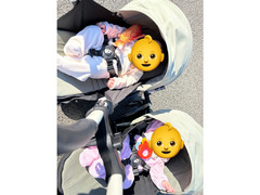 Yoyo Strollers (or stroller)