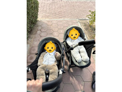 Yoyo Strollers (or stroller)