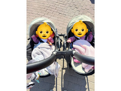 Yoyo Strollers (or stroller)