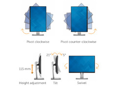 Dell UltraSharp 24" Monitor