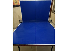 Nsport ping pong table