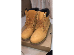 TIMBERLANDS BOOTS (BRAND NEW)