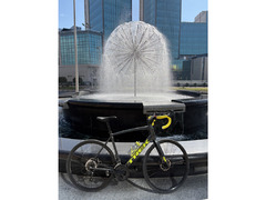 Trek Domane AL 3 (size 58)
