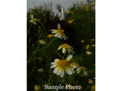 Fujifilm FinePix JV300