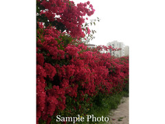 Fujifilm FinePix JV300 - 6