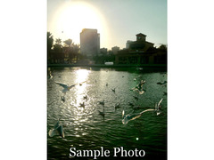 Fujifilm FinePix JV300 - 7