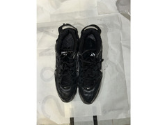 2 kd for 2 shoes