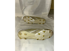 2.5kd for 2 shoes