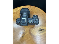 Canon EOS R8 w 24-50 Kit 4
