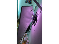 Samsung G8 OLED 34 inch UltraWide Monitor(Rarely Used) for sale