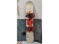 Longboard + Snowboard