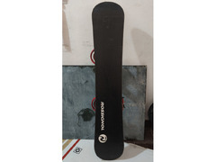 Longboard + Snowboard