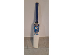 Unleash Your Inner Champion with the New Cricket Bat!!!