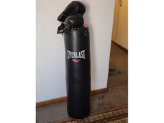 Brand New EVERLAST Punching bag and gloves
