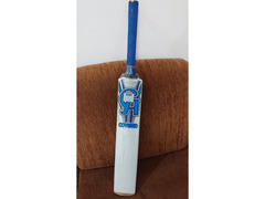 Unleash Your Inner Champion with the New Cricket Bat!!!