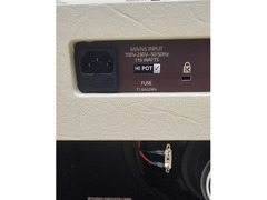 Blackstar Debut 50R Cream Oxblood