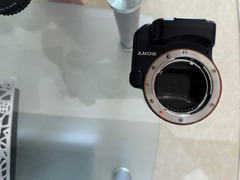 Sony A mount to E mount Adaptor auto focus