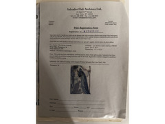 (Bid)Original Salvador Dali signed etching
