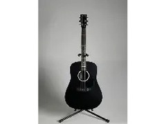 DX Cash Acoustic Guitar.